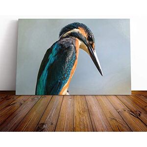 Big Box Art Kingfisher Bird Vol.2 Canvas Print Gallery Wrapped 30mm Frame Wall Art 24x16 inches Ready to Hang Modern Animals Picture Living Room Bedroom Lounge Office Big Box Art Kingfisher Bird Vol.2 Canvas Print Gallery Wrapped 30mm Frame Wall Art 24x16 inches Ready to Hang Modern Animals Picture Living Room Bedroom Lounge Office