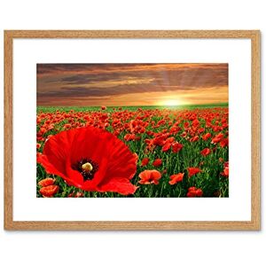 Wee Blue Coo Photo Landscape Poppy Field Sun Rise Red Flower Beautiful Framed Wall Art Print Wee Blue Coo Photo Landscape Poppy Field Sun Rise Red Flower Beautiful Framed Wall Art Print