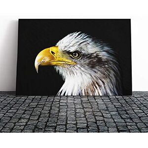 Big Box Art Eagle Bird (1) Canvas Print Gallery Wrapped 30mm Frame Wall Art 24x16 inches Ready to Hang Modern Animals Picture Living Room Bedroom Lounge Office Big Box Art Eagle Bird (1) Canvas Print Gallery Wrapped 30mm Frame Wall Art 24x16 inches Ready to Hang Modern Animals Picture Living Room Bedroom Lounge Office