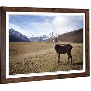 Big Box Art Framed Print of Stag Deer Mountain Landscape Design Wall Art Picture Home Decor for Kitchen, Living, Dining Room, Bedroom, Hallway, Office, Walnut, A2 / 24.5x18 Inch / 62x45cm Big Box Art Framed Print of Stag Deer Mountain Landscape Design Wall Art Picture Home Decor for Kitchen, Living, Dining Room, Bedroom, Hallway, Office, Walnut, A2 / 24.5x18 Inch / 62x45cm