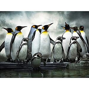 Wee Blue Coo Emperor Penguin Huddle Birds Antarctica Photo Art Large Art Print Poster Wall Decor 18x24 inch Wee Blue Coo Emperor Penguin Huddle Birds Antarctica Photo Art Large Art Print Poster Wall Decor 18x24 inch