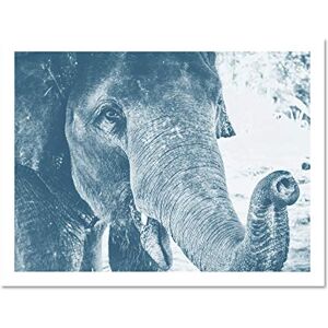 Fine Art Prints Chambon Elephant Close-up Trunk Blue Large Framed Art Print Poster Wall Decor 18x24 inch Fine Art Prints Chambon Elephant Close-up Trunk Blue Large Framed Art Print Poster Wall Decor 18x24 inch