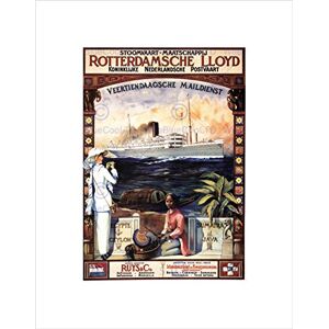 Wee Blue Coo Ad Dutch Royal Mail Ship Egypt Netherlands Rotterdam Wall Art Print Wee Blue Coo Ad Dutch Royal Mail Ship Egypt Netherlands Rotterdam Wall Art Print