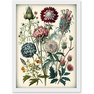 Artery8 Ernst Haeckel Style Vintage Botanical Plant Study Modern Watercolour Painting Illustration Artwork Framed Wall Art Print A4 Artery8 Ernst Haeckel Style Vintage Botanical Plant Study Modern Watercolour Painting Illustration Artwork Framed Wall Art Print A4