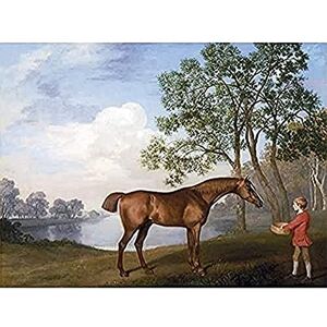 Fine Art Prints Stubbs Racehorse Pumpkin Stable Lad Painting Art Print Canvas Premium Wall Decor Poster Mural Fine Art Prints Stubbs Racehorse Pumpkin Stable Lad Painting Art Print Canvas Premium Wall Decor Poster Mural