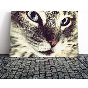 Big Box Art Cat Eyes (11) Canvas Print Gallery Wrapped 30mm Frame Wall Art 20x14 inches Ready to Hang Modern Animals Picture Living Room Bedroom Lounge Office Big Box Art Cat Eyes (11) Canvas Print Gallery Wrapped 30mm Frame Wall Art 20x14 inches Ready to Hang Modern Animals Picture Living Room Bedroom Lounge Office