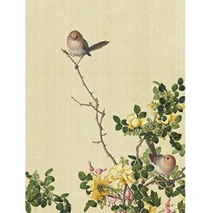Fine Art Prints Castiglione Canary Rose Bird Painting Large Print Poster Wall Art Decor Picture Fine Art Prints Castiglione Canary Rose Bird Painting Large Print Poster Wall Art Decor Picture