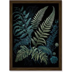 Artery8 Ernst Haeckel Style Leaf Illustration Fern Fronds Artwork Framed A3 Wall Art Print Artery8 Ernst Haeckel Style Leaf Illustration Fern Fronds Artwork Framed A3 Wall Art Print