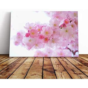 Big Box Art Canvas Print Wall Art Flower Pink Japanese Cherry Trees Mounted & Stretched Box Frame Picture Home Decor for Kitchen, Living Room, Bedroom, Hallway, Multi-Colour, 30x20 Inch Big Box Art Canvas Print Wall Art Flower Pink Japanese Cherry Trees Mounted & Stretched Box Frame Picture Home Decor for Kitchen, Living Room, Bedroom, Hallway, Multi-Colour, 30x20 Inch