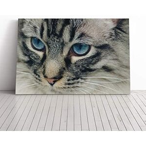 Big Box Art Cat Eyes (13) Canvas Print Gallery Wrapped 30mm Frame Wall Art 20x14 inches Ready to Hang Modern Animals Picture Living Room Bedroom Lounge Office Big Box Art Cat Eyes (13) Canvas Print Gallery Wrapped 30mm Frame Wall Art 20x14 inches Ready to Hang Modern Animals Picture Living Room Bedroom Lounge Office