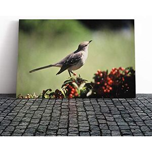 Big Box Art Mockingbird Bird Canvas Print Gallery Wrapped 30mm Frame Wall Art 20x14 inches Ready to Hang Modern Animals Picture Living Room Bedroom Lounge Office Big Box Art Mockingbird Bird Canvas Print Gallery Wrapped 30mm Frame Wall Art 20x14 inches Ready to Hang Modern Animals Picture Living Room Bedroom Lounge Office