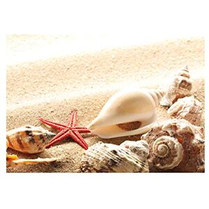 Wee Blue Coo Photo Sand Starfish Red Seashells Beach Summer Wall Art Print Wee Blue Coo Photo Sand Starfish Red Seashells Beach Summer Wall Art Print