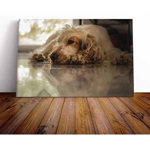 Big Box Art Cocker Spaniel Dog Canvas Print Gallery Wrapped 30mm Frame Wall Art 20x14 inches Ready to Hang Modern Animals Picture Living Room Bedroom Lounge Office Big Box Art Cocker Spaniel Dog Canvas Print Gallery Wrapped 30mm Frame Wall Art 20x14 inches Ready to Hang Modern Animals Picture Living Room Bedroom Lounge Office