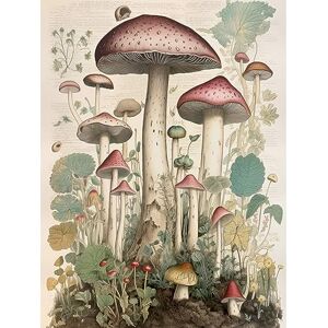 Artery8 Mushroom Fungi Botanical Page Photograph Vintage Cottagecore Rustic Aesthetic Kitchen Extra Large XL Wall Art Poster Print Artery8 Mushroom Fungi Botanical Page Photograph Vintage Cottagecore Rustic Aesthetic Kitchen Extra Large XL Wall Art Poster Print