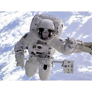 Fine Art Prints Space NASA Astronaut Shuttle Endeavour Robot Arm Photo Large Wall Art Poster Print Thick Paper 18X24 Inch Fine Art Prints Space NASA Astronaut Shuttle Endeavour Robot Arm Photo Large Wall Art Poster Print Thick Paper 18X24 Inch