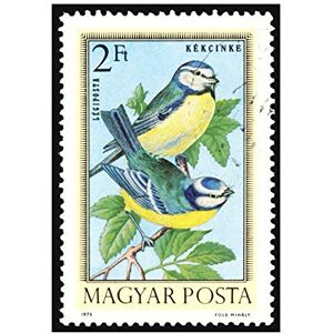 Wee Blue Coo Postage Stamp Hungary 2 Forint Nunbird Finch Blue Wall Art Print Wee Blue Coo Postage Stamp Hungary 2 Forint Nunbird Finch Blue Wall Art Print