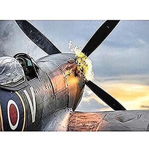 Fine Art Prints Taylor Military UK Spitfire TE311 Fighter Plane Photo Unframed Wall Art Print Poster Home Decor Premium Fine Art Prints Taylor Military UK Spitfire TE311 Fighter Plane Photo Unframed Wall Art Print Poster Home Decor Premium