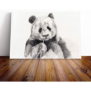 Big Box Art Panda Illustration (1) Canvas Print Gallery Wrapped 30mm Frame Wall Art 20x14 inches Ready to Hang Modern Animals Picture Living Room Bedroom Lounge Office Big Box Art Panda Illustration (1) Canvas Print Gallery Wrapped 30mm Frame Wall Art 20x14 inches Ready to Hang Modern Animals Picture Living Room Bedroom Lounge Office