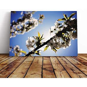 Big Box Art Canvas Print Wall Art Flower White Cherry Blossom Tree Mounted and Stretched Box Frame Picture Home Decor for Kitchen, Living Room, Bedroom, Hallway, Multi-Colour, 30x20 Inch Big Box Art Canvas Print Wall Art Flower White Cherry Blossom Tree Mounted and Stretched Box Frame Picture Home Decor for Kitchen, Living Room, Bedroom, Hallway, Multi-Colour, 30x20 Inch