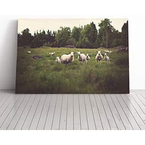 Big Box Art Curious Sheep Landscape Canvas Print Gallery Wrapped 30mm Frame Wall Art 24x16 inches Ready to Hang Modern Animals Picture Living Room Bedroom Lounge Office Big Box Art Curious Sheep Landscape Canvas Print Gallery Wrapped 30mm Frame Wall Art 24x16 inches Ready to Hang Modern Animals Picture Living Room Bedroom Lounge Office