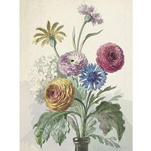 Artery8 Willem Van Leen Bouquet Of Flowers Still Drawing Large Wall Art Poster Print Thick Paper 18X24 Inch Artery8 Willem Van Leen Bouquet Of Flowers Still Drawing Large Wall Art Poster Print Thick Paper 18X24 Inch