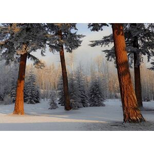 Wee Blue Coo Photo Composition Pine Trees Forest Swirl Effect Wall Art Print Wee Blue Coo Photo Composition Pine Trees Forest Swirl Effect Wall Art Print