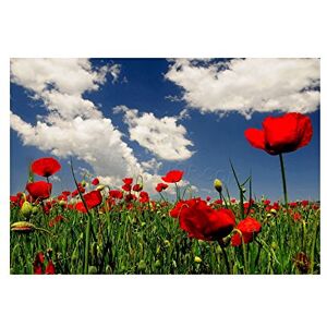 Wee Blue Coo Photo Poppy Field Clouds Sky Belgium Somme Wall Art Print Wee Blue Coo Photo Poppy Field Clouds Sky Belgium Somme Wall Art Print