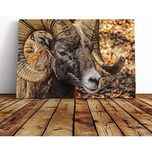 Big Box Art - Bighorn Ram Sheep - Multi-Colour - 24x16 Inch - Box Frame - Canvas Print Big Box Art - Bighorn Ram Sheep - Multi-Colour - 24x16 Inch - Box Frame - Canvas Print