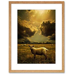 Wee Blue Coo PHOTO NATURE ANIMAL SHEEP LAMB SUNSHINE CLOUDS FRAMED PRINT F97X3889 Wee Blue Coo PHOTO NATURE ANIMAL SHEEP LAMB SUNSHINE CLOUDS FRAMED PRINT F97X3889