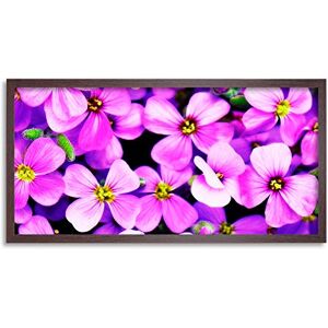 Wee Blue Coo Pretty Pink Flower Petals Long Panel Framed Wall Art Print Wee Blue Coo Pretty Pink Flower Petals Long Panel Framed Wall Art Print