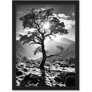 Artery8 Frozen Tree Outline in Mountain Forest Landscape Covered in Snow Black and White Photograph Winter Sunshine Artwork Framed Wall Art Print A4 Artery8 Frozen Tree Outline in Mountain Forest Landscape Covered in Snow Black and White Photograph Winter Sunshine Artwork Framed Wall Art Print A4
