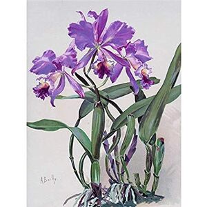 Artery8 Bailly Cattleya Orchid Flower Watercolor Painting Art Print Canvas Premium Wall Decor Poster Mural Artery8 Bailly Cattleya Orchid Flower Watercolor Painting Art Print Canvas Premium Wall Decor Poster Mural