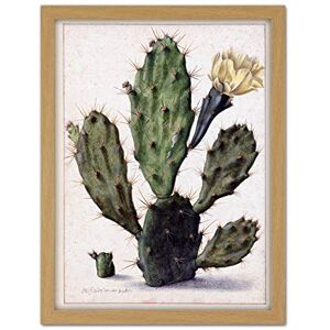 Artery8 Saftleven Pear Cactus In Bloom Flora Artwork Framed Wall Art Print 18X24 Inch Artery8 Saftleven Pear Cactus In Bloom Flora Artwork Framed Wall Art Print 18X24 Inch