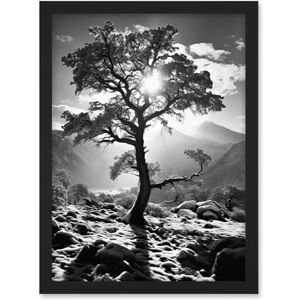 Artery8 Frozen Tree Outline in Mountain Forest Landscape Covered in Snow Black and White Photograph Winter Sunshine Artwork Framed A3 Wall Art Print Artery8 Frozen Tree Outline in Mountain Forest Landscape Covered in Snow Black and White Photograph Winter Sunshine Artwork Framed A3 Wall Art Print
