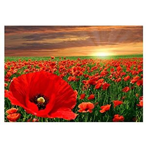 Wee Blue Coo Photo Landscape Poppy Field Sun Rise Red Flower Beautiful Wall Art Print Wee Blue Coo Photo Landscape Poppy Field Sun Rise Red Flower Beautiful Wall Art Print
