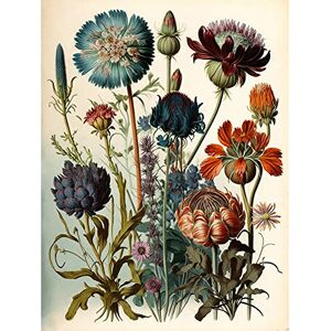 Artery8 Vintage Botanical Illustration Ernst Haeckel Inspired Plant Study Modern Watercolour Painting Unframed Wall Art Print Poster Home Decor Premium Artery8 Vintage Botanical Illustration Ernst Haeckel Inspired Plant Study Modern Watercolour Painting Unframed Wall Art Print Poster Home Decor Premium