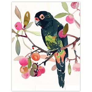 Artery8 Parrot Perched on Fruit Tree Branch Watercolour Living Room Large Wall Art Poster Print Thick Paper 18X24 Inch Artery8 Parrot Perched on Fruit Tree Branch Watercolour Living Room Large Wall Art Poster Print Thick Paper 18X24 Inch