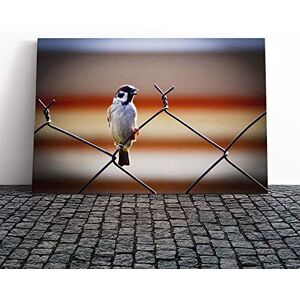 Big Box Art Sparrow Bird (3) Canvas Print Gallery Wrapped 30mm Frame Wall Art 24x16 inches Ready to Hang Modern Animals Picture Living Room Bedroom Lounge Office Big Box Art Sparrow Bird (3) Canvas Print Gallery Wrapped 30mm Frame Wall Art 24x16 inches Ready to Hang Modern Animals Picture Living Room Bedroom Lounge Office