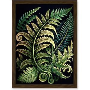 Artery8 Ernst Haeckel Style Fern Fronds Leaf Illustration Artwork Framed A3 Wall Art Print Artery8 Ernst Haeckel Style Fern Fronds Leaf Illustration Artwork Framed A3 Wall Art Print