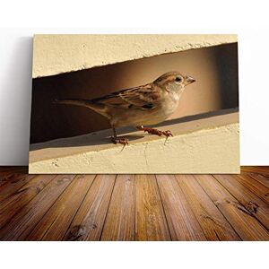Big Box Art Sparrow Bird (2) Canvas Print Gallery Wrapped 30mm Frame Wall Art 24x16 inches Ready to Hang Modern Animals Picture Living Room Bedroom Lounge Office Big Box Art Sparrow Bird (2) Canvas Print Gallery Wrapped 30mm Frame Wall Art 24x16 inches Ready to Hang Modern Animals Picture Living Room Bedroom Lounge Office
