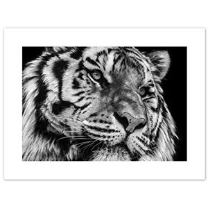 Wee Blue Coo Tiger Close Up Photograph Art Print Canvas Premium Wall Decor Poster Wee Blue Coo Tiger Close Up Photograph Art Print Canvas Premium Wall Decor Poster