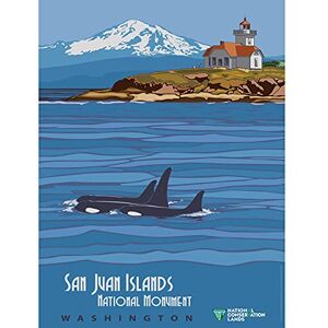 Artery8 BLM San Juan Islands National Monument Washington Large Wall Art Poster Print Thick Paper 18X24 Inch Artery8 BLM San Juan Islands National Monument Washington Large Wall Art Poster Print Thick Paper 18X24 Inch