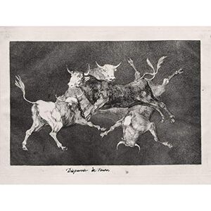 Fine Art Prints Goya Y Lucientes Francisco De Fools Folly Large Wall Art Print Canvas Premium Poster Mural Fine Art Prints Goya Y Lucientes Francisco De Fools Folly Large Wall Art Print Canvas Premium Poster Mural