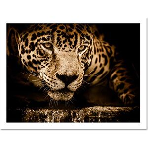 Fine Art Prints Jaguar Head Big Cat Large Framed Art Print Poster Wall Decor 18x24 inch Fine Art Prints Jaguar Head Big Cat Large Framed Art Print Poster Wall Decor 18x24 inch