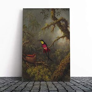 Big Box Art Martin Johnson Heade Bird Canvas Print Gallery Wrapped 30mm Frame Wall Art 20x14 inches Ready to Hang Modern Animals Picture Living Room Bedroom Lounge Office Big Box Art Martin Johnson Heade Bird Canvas Print Gallery Wrapped 30mm Frame Wall Art 20x14 inches Ready to Hang Modern Animals Picture Living Room Bedroom Lounge Office