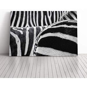 Big Box Art Zebra Stripes (1) Canvas Print Gallery Wrapped 30mm Frame Wall Art 20x14 inches Ready to Hang Modern Animals Picture Living Room Bedroom Lounge Office Big Box Art Zebra Stripes (1) Canvas Print Gallery Wrapped 30mm Frame Wall Art 20x14 inches Ready to Hang Modern Animals Picture Living Room Bedroom Lounge Office