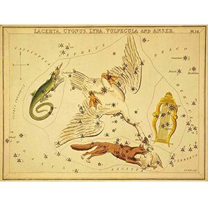 Wee Blue Coo Painting Drawing Star Map Swan Fox Lyre Constellation Art Print Poster Wall Decor 12X16 Inch Wee Blue Coo Painting Drawing Star Map Swan Fox Lyre Constellation Art Print Poster Wall Decor 12X16 Inch
