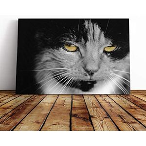 Big Box Art Cat Eyes (12) Canvas Print Gallery Wrapped 30mm Frame Wall Art 24x16 inches Ready to Hang Modern Animals Picture Living Room Bedroom Lounge Office Big Box Art Cat Eyes (12) Canvas Print Gallery Wrapped 30mm Frame Wall Art 24x16 inches Ready to Hang Modern Animals Picture Living Room Bedroom Lounge Office