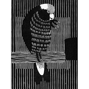 Artery8 Samuel Jessurun De Mesquita Rose Cockatoo Unframed Wall Art Print Poster Home Decor Premium Artery8 Samuel Jessurun De Mesquita Rose Cockatoo Unframed Wall Art Print Poster Home Decor Premium