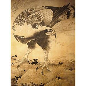 Fine Art Prints Shohaku Hawk Bird Japanese Painting Extra Large XL Wall Art Poster Print Fine Art Prints Shohaku Hawk Bird Japanese Painting Extra Large XL Wall Art Poster Print